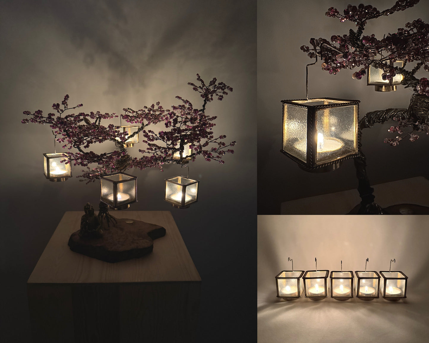 Jacaranda Bonsai - 01