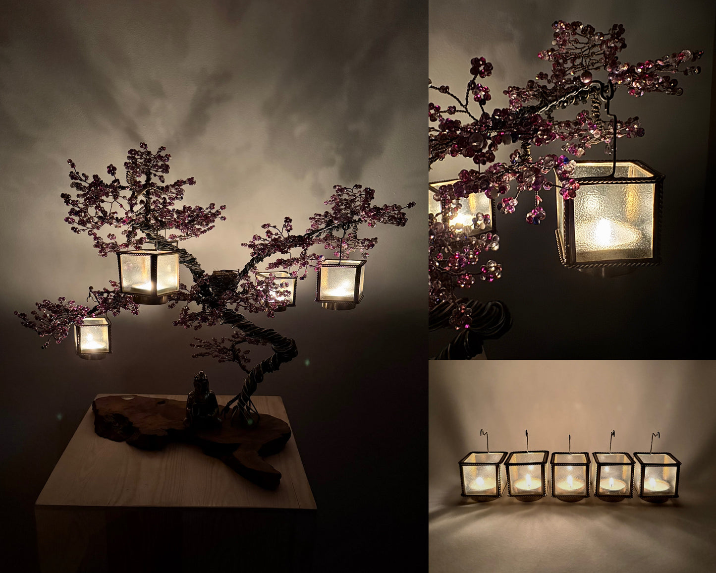 Jacaranda Bonsai - 02