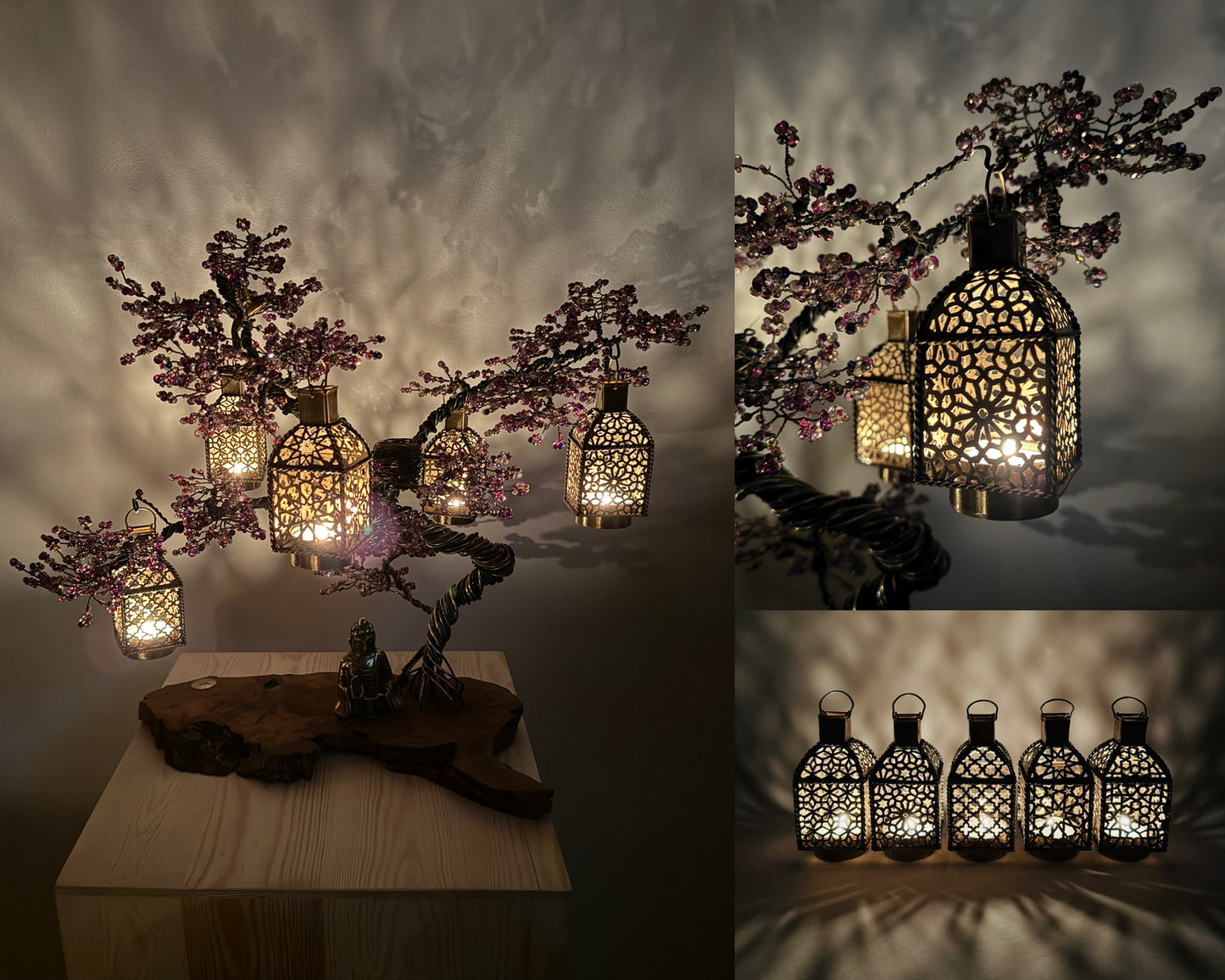 Jacaranda Bonsai - 02