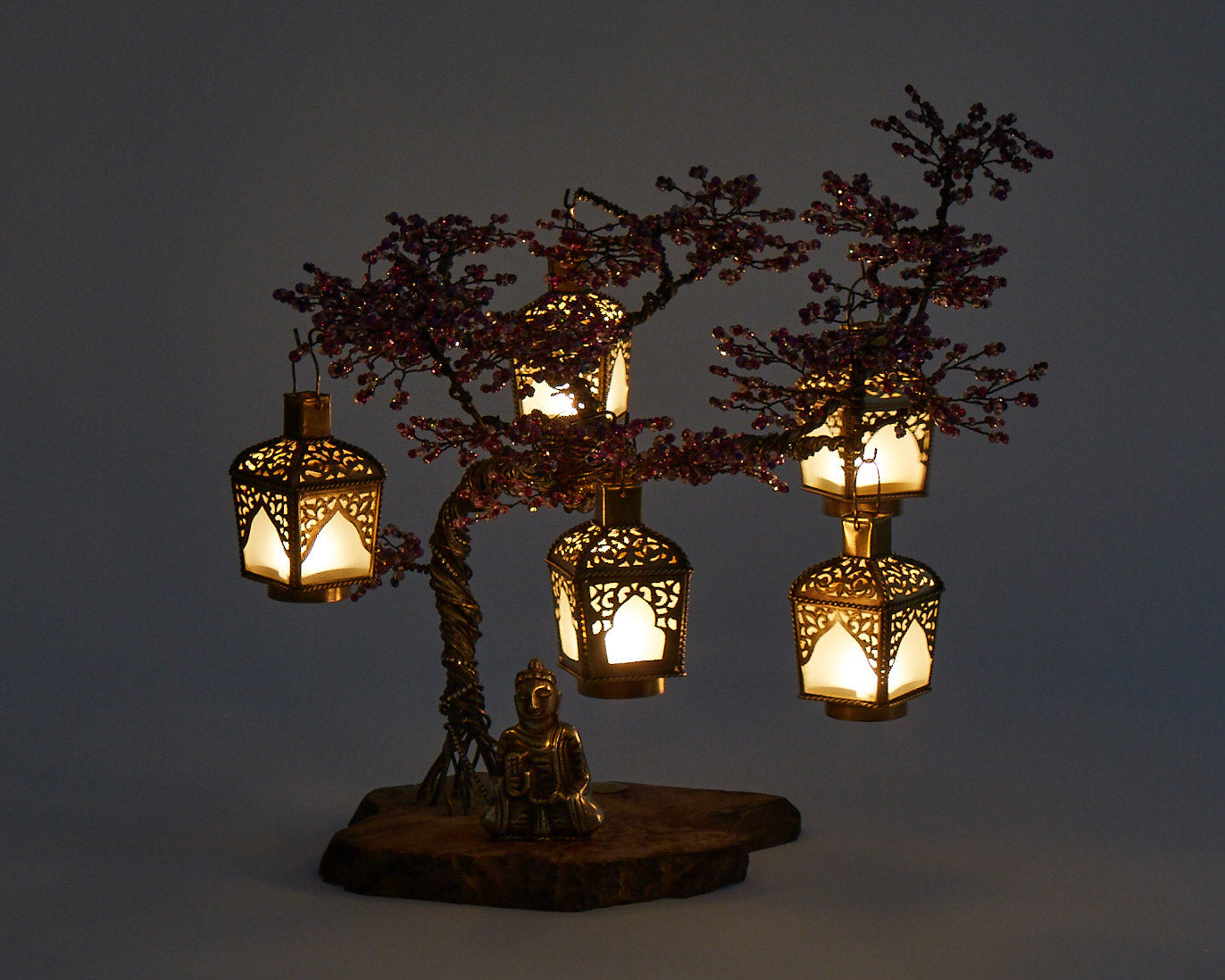 Jacaranda Bonsai - 01