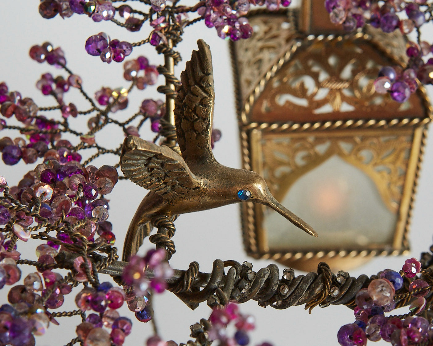 Jacaranda Bonsai - 01