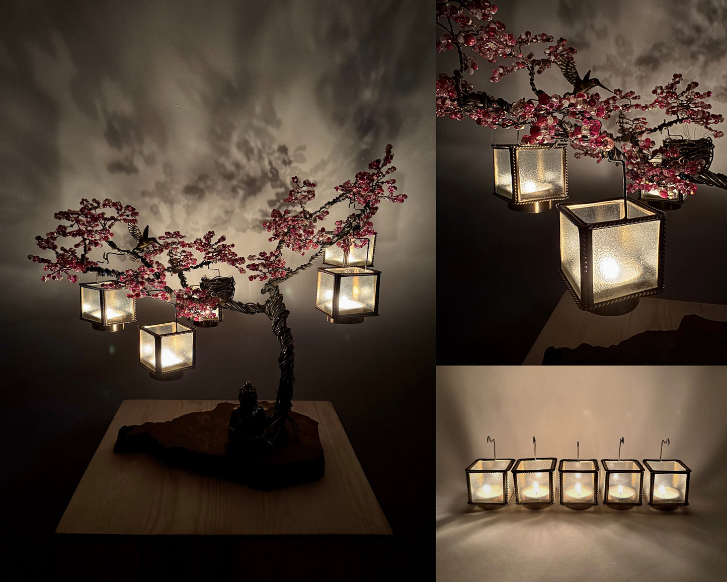 Sakura Bonsai - 01