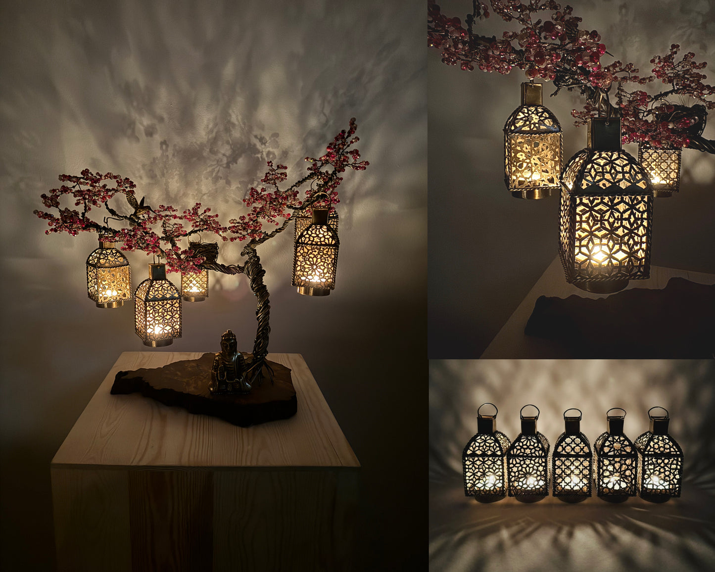 Sakura Bonsai - 01