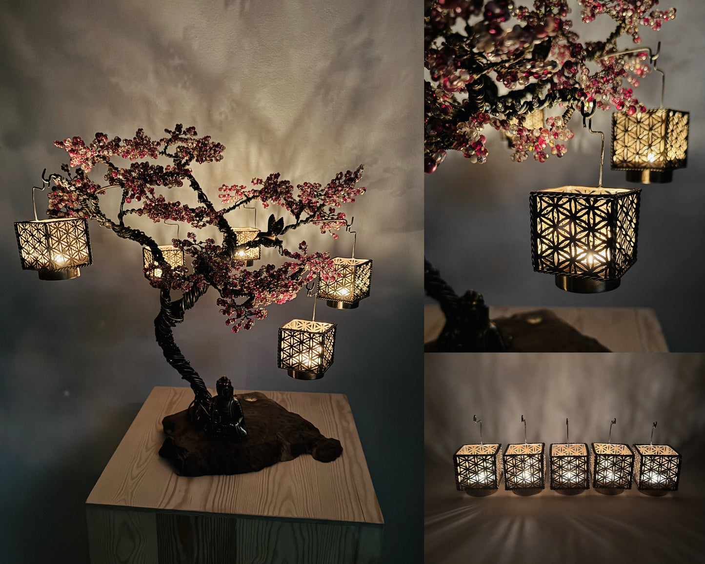 Sakura Bonsai - 03