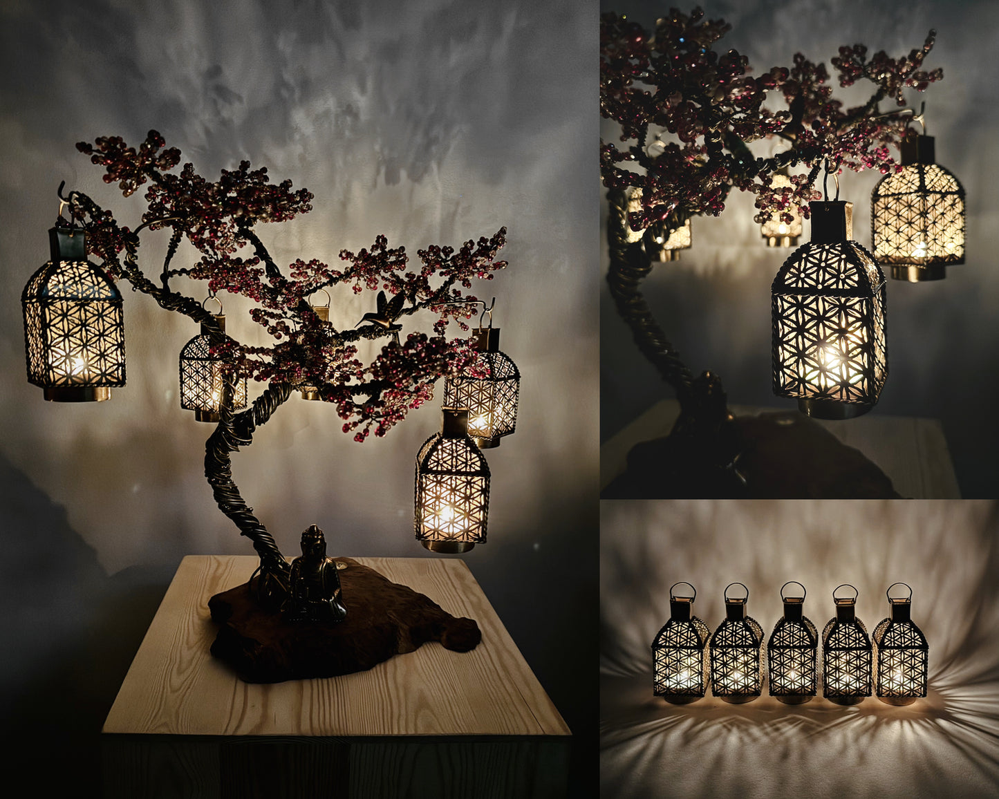 Sakura Bonsai - 03