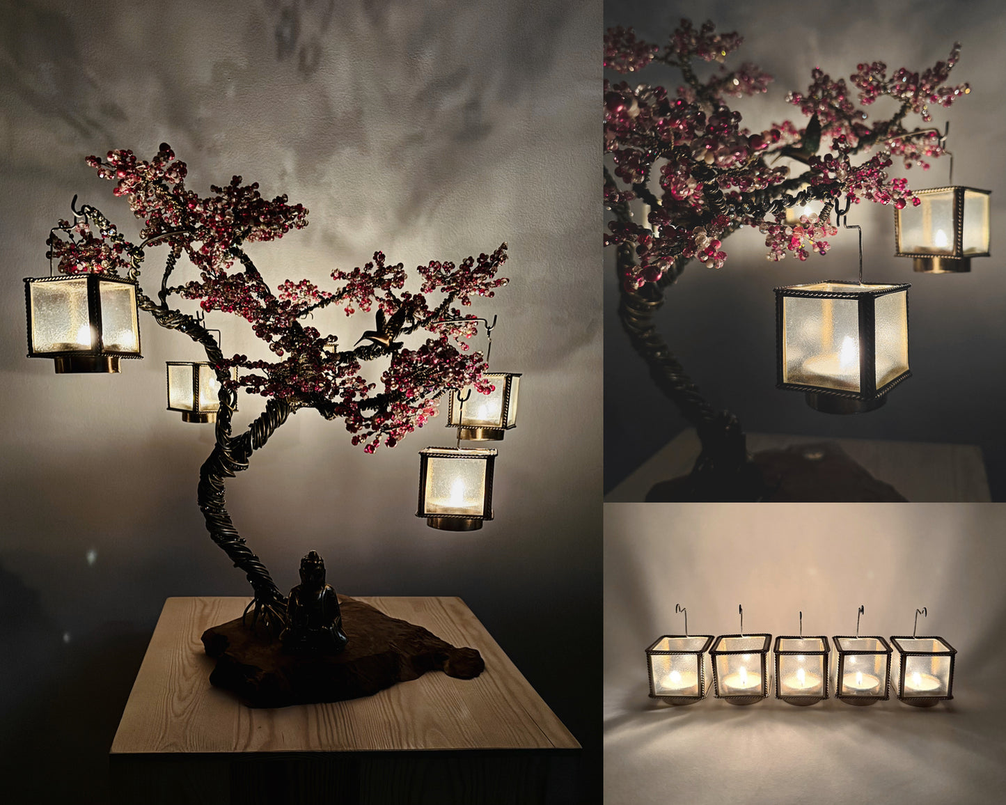 Sakura Bonsai - 03