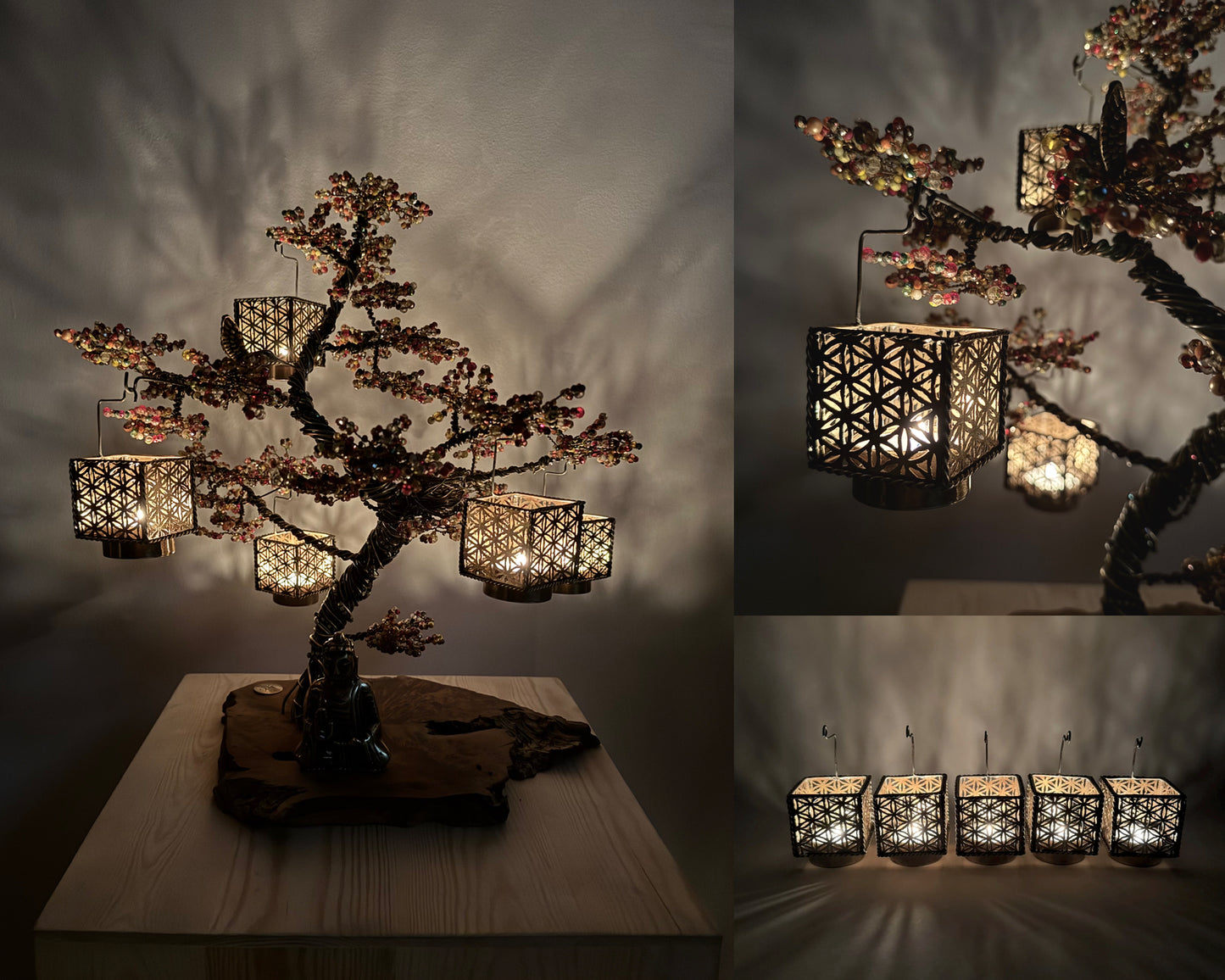 Indian Summer Bonsai - 01