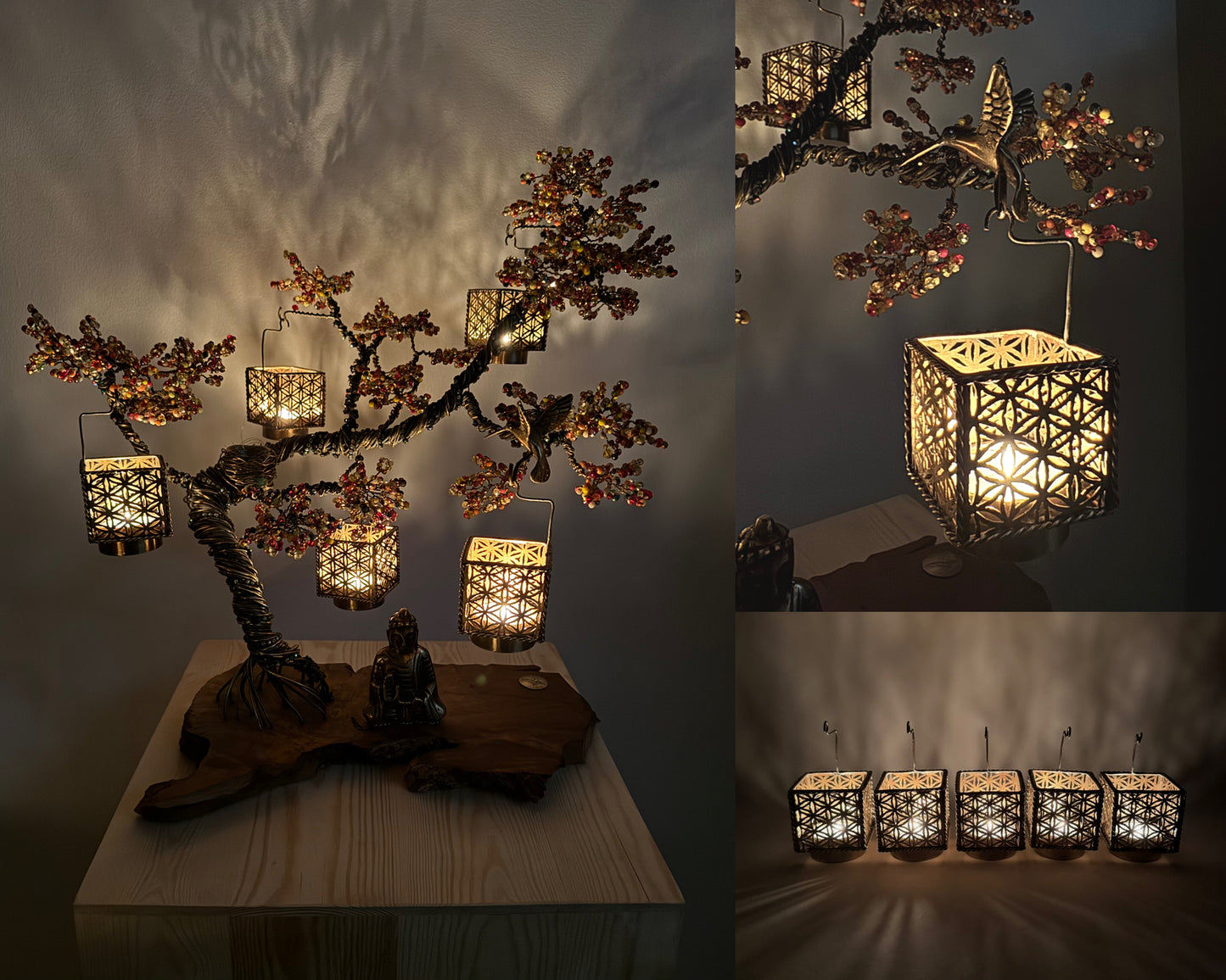 Indian Summer Bonsai - 02