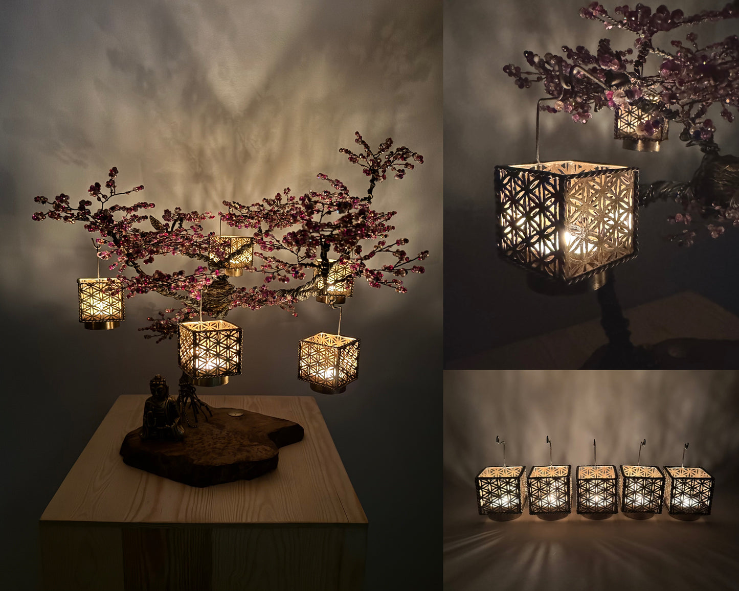 Jacaranda Bonsai - 01