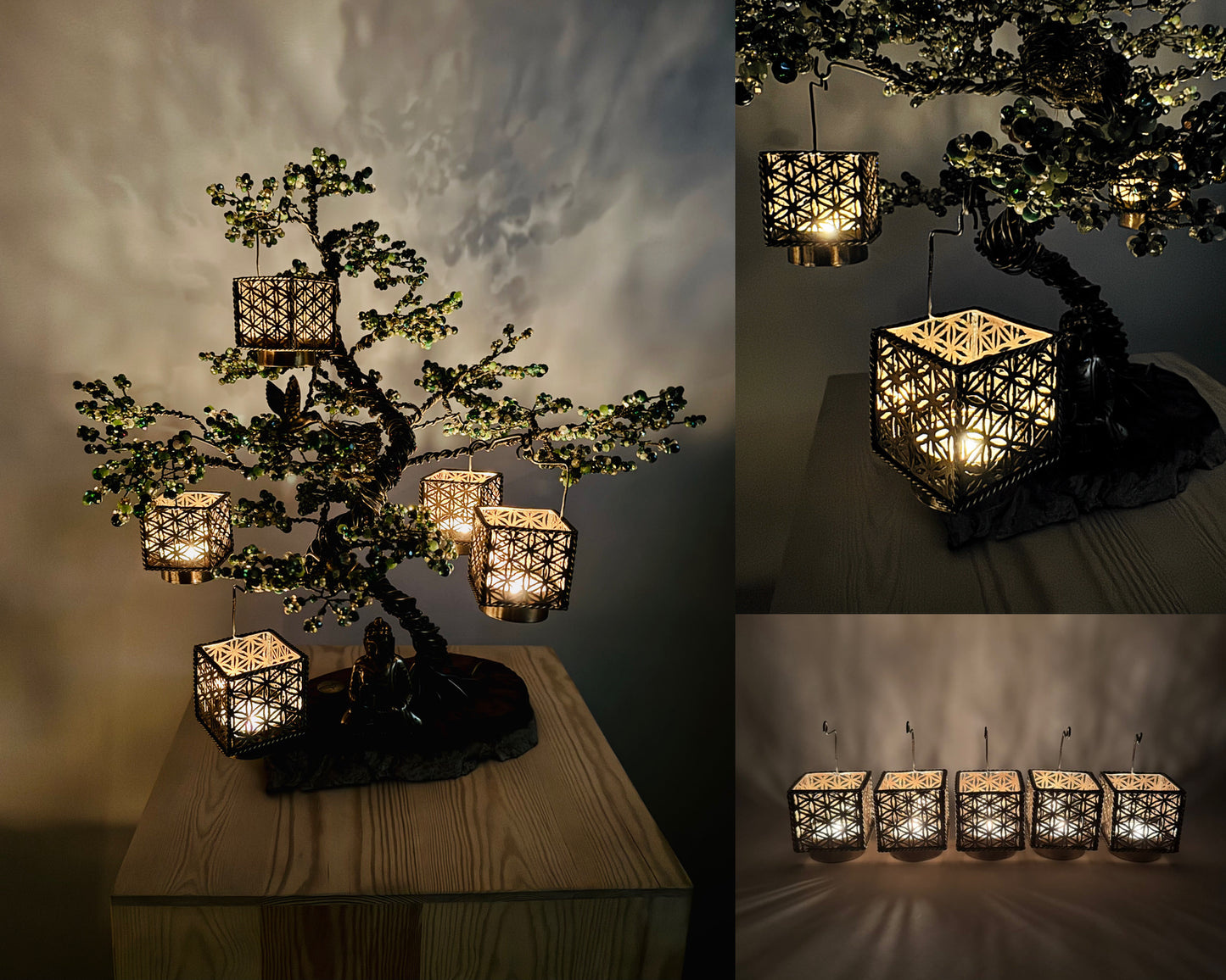 Pine Bonsai - 01