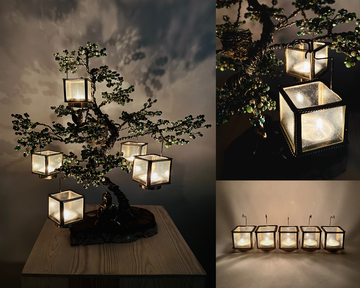 Pine Bonsai - 01