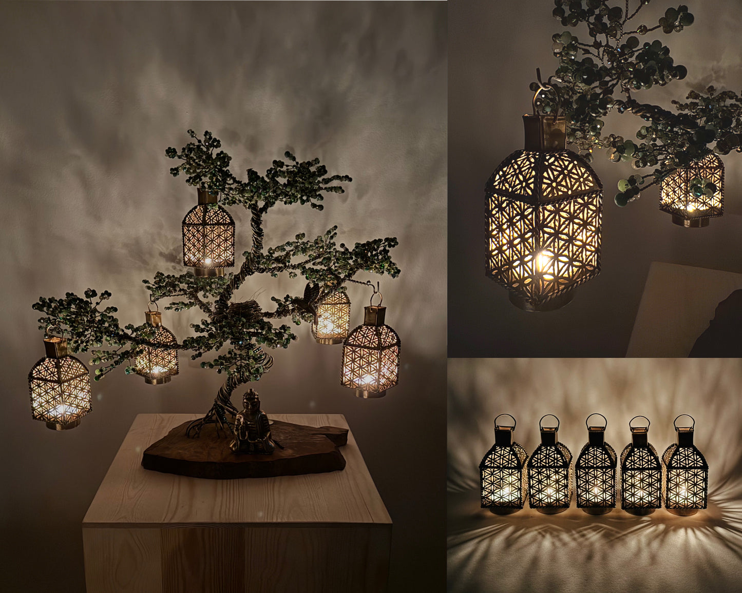 Pine Bonsai - 02