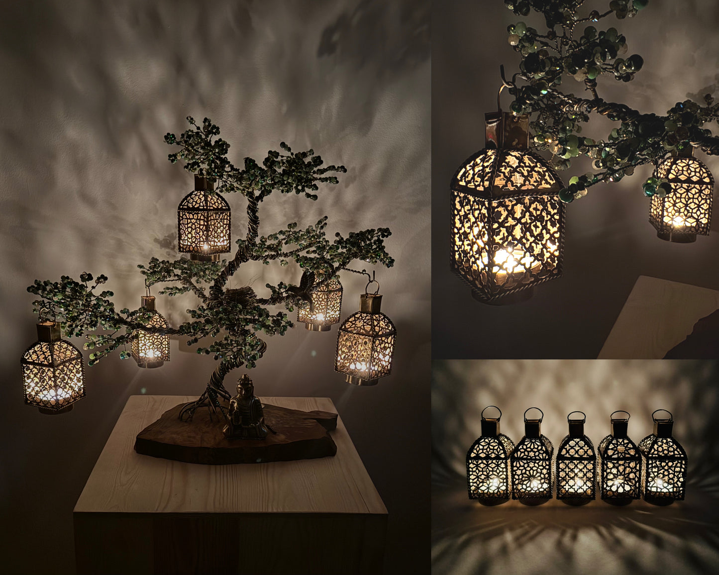 Pine Bonsai - 02