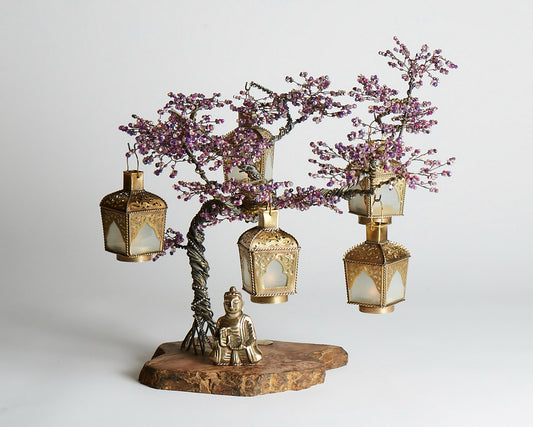 Jacaranda Bonsai - 01