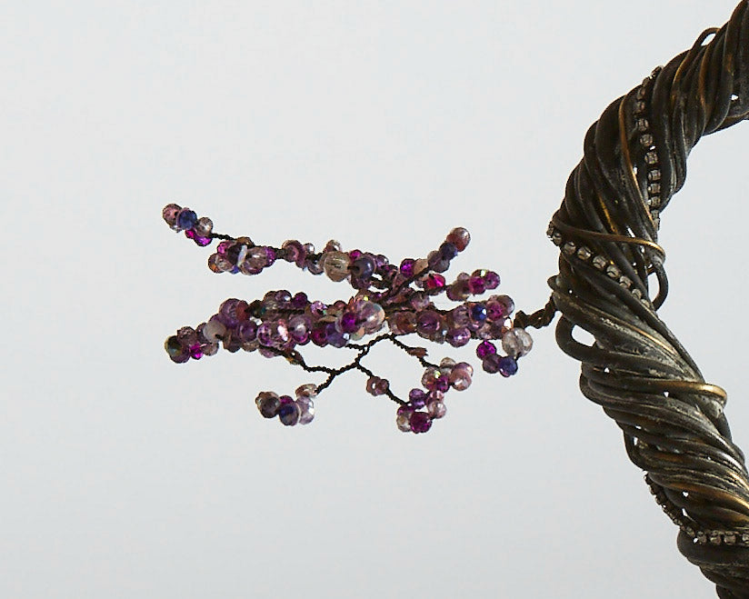 Jacaranda Bonsai - 01