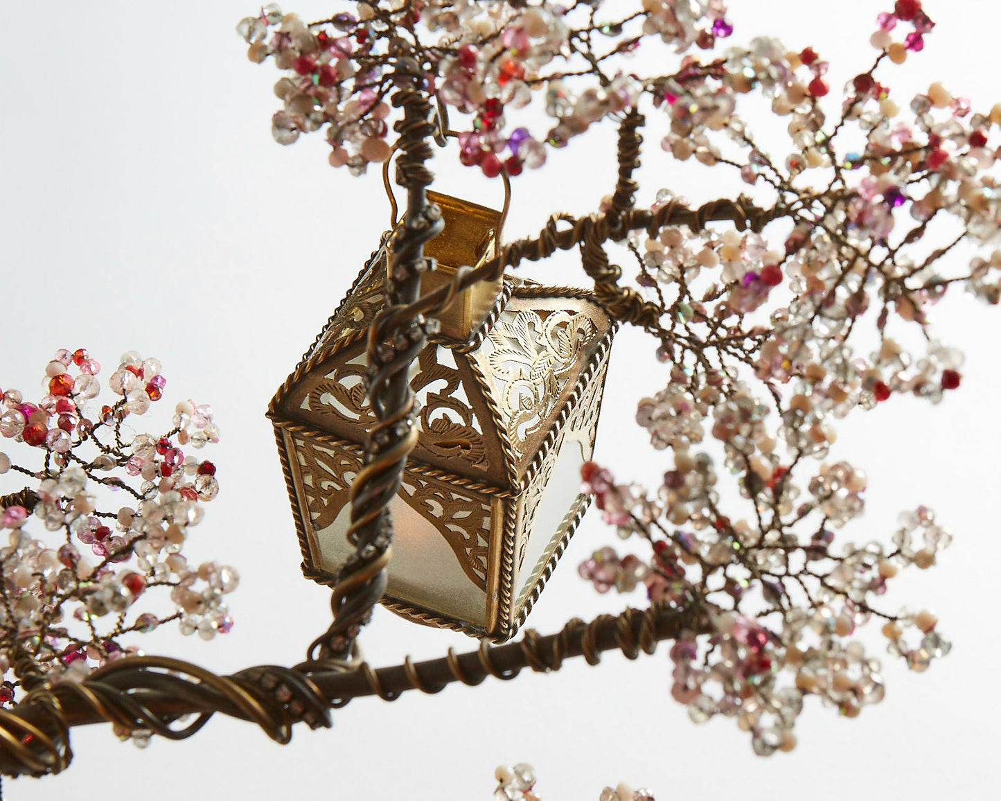 Sakura Bonsai - 02