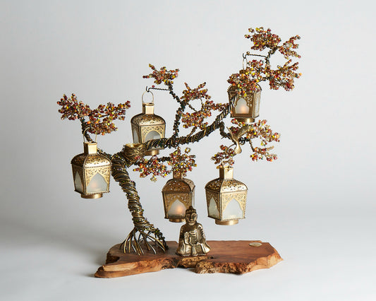Indian Summer Bonsai - 02