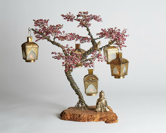 Sakura Bonsai - 03