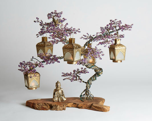 Jacaranda Bonsai - 02