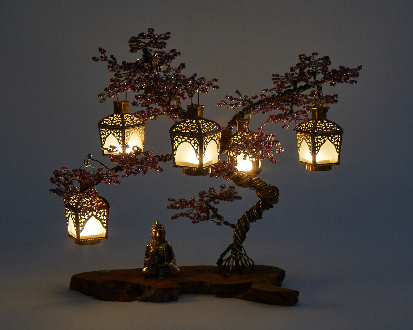 Jacaranda Bonsai - 02