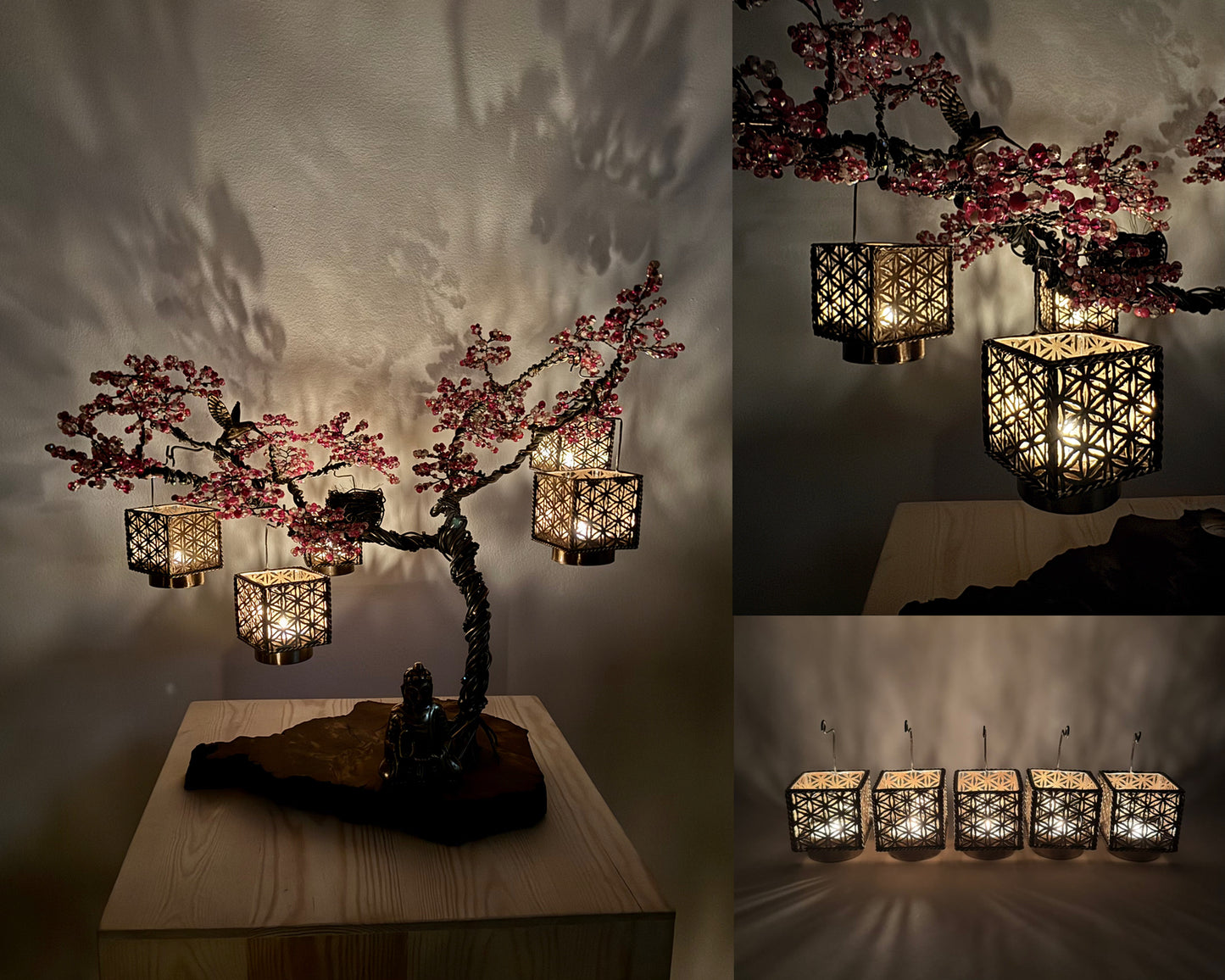Sakura Bonsai - 01