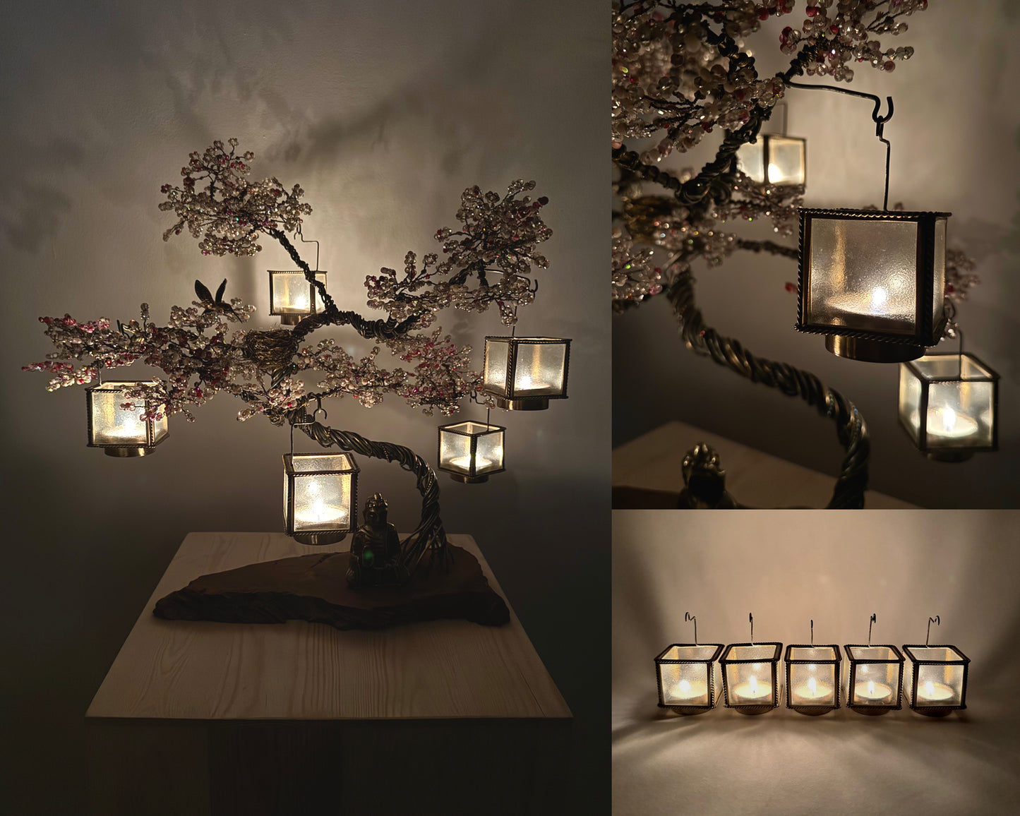 Sakura Bonsai - 02